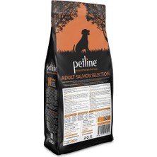 Pet Line Natural Premium Salmon Somonlu Yetişkin Köpek Maması 3 kg