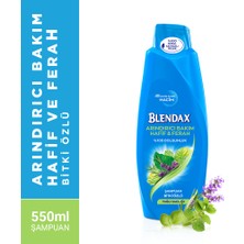 Blendax Bitki Özlü Şampuan 550 ml