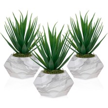 Çiçekmisin 3'lü Mermer Görünümlü Saksıda Yeşil Yapay Kaktüs Aloevera