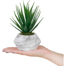 Çiçekmisin 3'lü Mermer Görünümlü Saksıda Yeşil Yapay Kaktüs Aloevera