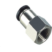 Motion Dişi Rekorlar 1/8-04