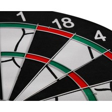 Altıs DR30 Dart Set 17''