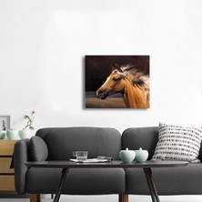 Tablosan Yağlı Boya At Kanvas Tablo