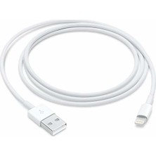 Apple Lightning Şarj ve Data Kablosu 2 mt