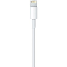 Apple Lightning Şarj ve Data Kablosu 2 mt