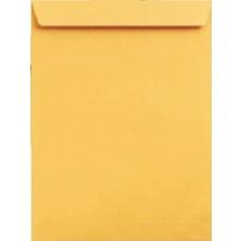 Doğan Zarf Torba Zarf Formula 125 gr 500'lü 21 x 28 cm