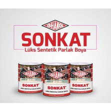 İshakol Lüks Sentetik Parlak Yağlı Boya 0,75 Lt