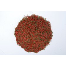 Cichlid Mix Granül Astaxanthin ve Algea Omega-3 Protein Bitkisel Karışık 1000 ml Malawi Ciklet Yunus Sarı Prenses Ahli Balık Yemi