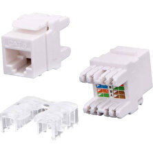 Baust Cat6 Keystone Jack