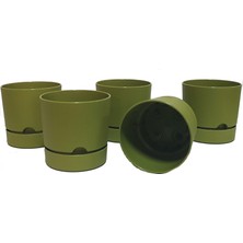 Poliwork Begonya 12 cm Tabaklı Saksı 1 Lt  5'li