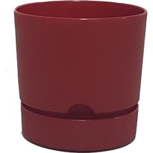 Poliwork Begonya 15 cm Tabaklı Saksı 1,8 Lt 4'lü