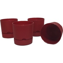 Poliwork Begonya 15 cm Tabaklı Saksı 1,8 Lt 4'lü
