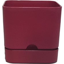 Poliwork Begonya Kare 13 cm Tabaklı Saksı 1,5 Lt 4'lü