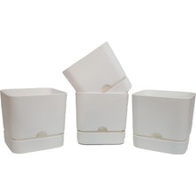 Poliwork Begonya Kare 13 cm Tabaklı Saksı 1,5 Lt  4'lü