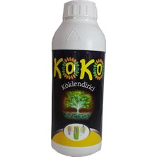 Biogreen Koko Köklendirici 1 lt