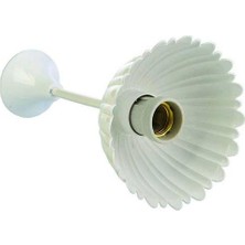 Mutlusan Büyük Papatya Tij Duy