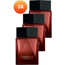 Avon Segno Success Erkek Parfüm Edp 75 Ml. Üçlü Set
