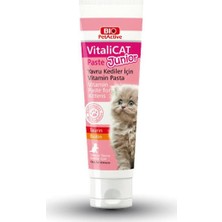 Bio Vitalicat Yavru Kedi Vitamin Pastası 100 ml + Bio Kitten Yavru Kedi Süt Tozu + Biberon Seti