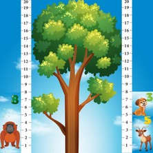 Learned Games  Math Forest  Matematik Oyunu