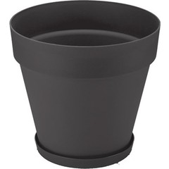brand-icon