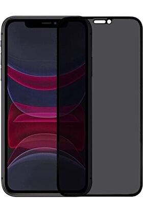 Guesche Apple iPhone 11 Şeffaf Airbag Antishock Silikon Kılıf ve Tam Kaplayan Hayalet Ekran Koruyucu Cam