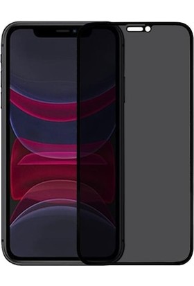 Guesche Apple iPhone XS Max Şeffaf Airbag Antishock Silikon Kılıf ve Tam Kaplayan Hayalet Ekran Koruyucu Cam