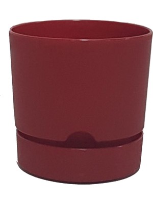 Poliwork Begonya 15 cm Tabaklı Saksı 1,8 Lt 4'lü