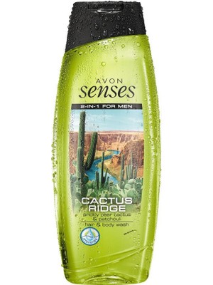 Avon Cactus Ridge Erkekler Için Saç ve Vücut Şampuanı 250 ml