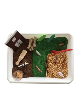 Beyaz Tavşan Oyun Evi Çiftlik Temalı Montessori Duyusal Oyunlar Seti