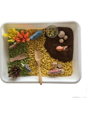 Beyaz Tavşan Oyun Evi Safari Temalı Montessori Duyusal Oyunlar Seti