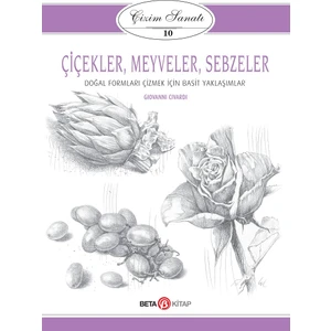 Çizim Sanatı 10 Çiçekler Meyveler ve Sebzeler - Giovanni Civardi