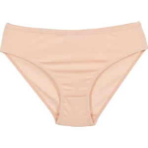 3'lü paket Likralı Bikini Kadın Külot 203