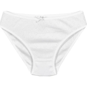 6'lı paket Jakarlı Kalp Desenli Kadın Bikini Külot 200