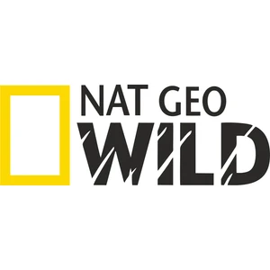 Sticker Fabrikası Nat Geo Wıld Netgeowild National Geographic Sticker  50 x 18,5 cm Renkli