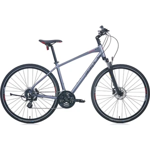 Sportive 225