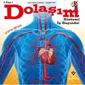Dolaşım Sistemi İş Başında!  Vücudumuzdaki Sistemler - Flora Brett