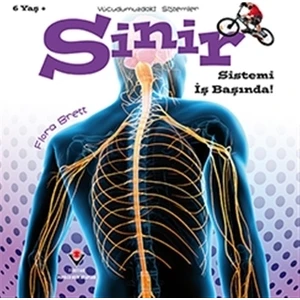 Sinir Sistemi İş Başında!  Vücudumuzdaki Sistemler - Flora Brett