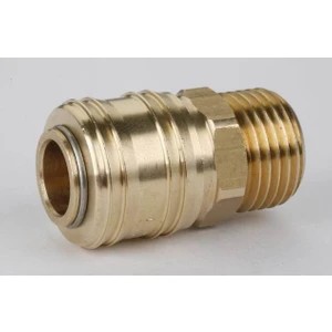 Erkek Gövde 1/4 Erkek Gövde