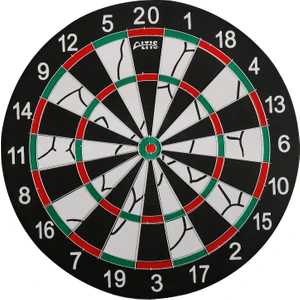Altıs DR30 Dart Set 17''