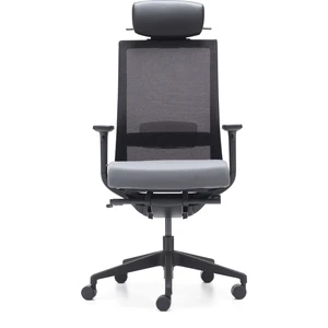 Başlıklı Ergonomik Çalışma Koltuğu