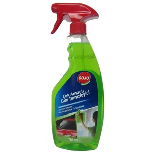 Çok Amaçlı Cam Temizleyici 750 ml