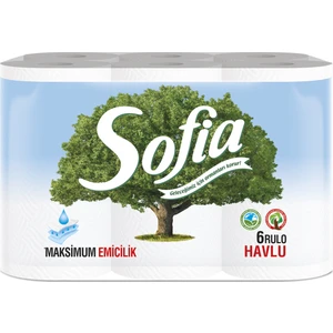 Mutfak Kağıt Havlusu 6'lı