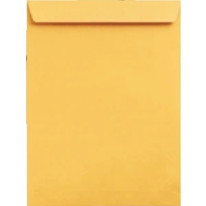 Doğan Zarf Torba Zarf Formula 100 gr 250'li 24 x 32 cm