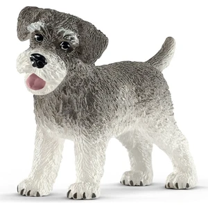 Minyatür Schnauzer 13892