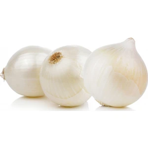 Beyaz Soğan 1 kg