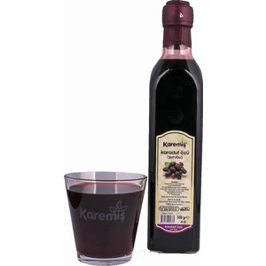 Karadut Özü Şurubu 700 gr