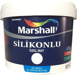 Silinebilir Silikonlu Özel Mat 2,5 lt - 3,5 kg Adaçayı