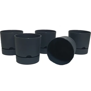 Begonya 9 cm Tabaklı Saksı 0,5 Lt  5'li