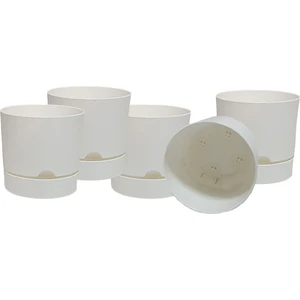 Begonya 9 cm Tabaklı Saksı 0,5 Lt 5'li