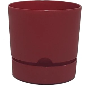 Begonya 12 cm Tabaklı Saksı 1 Lt  5'li